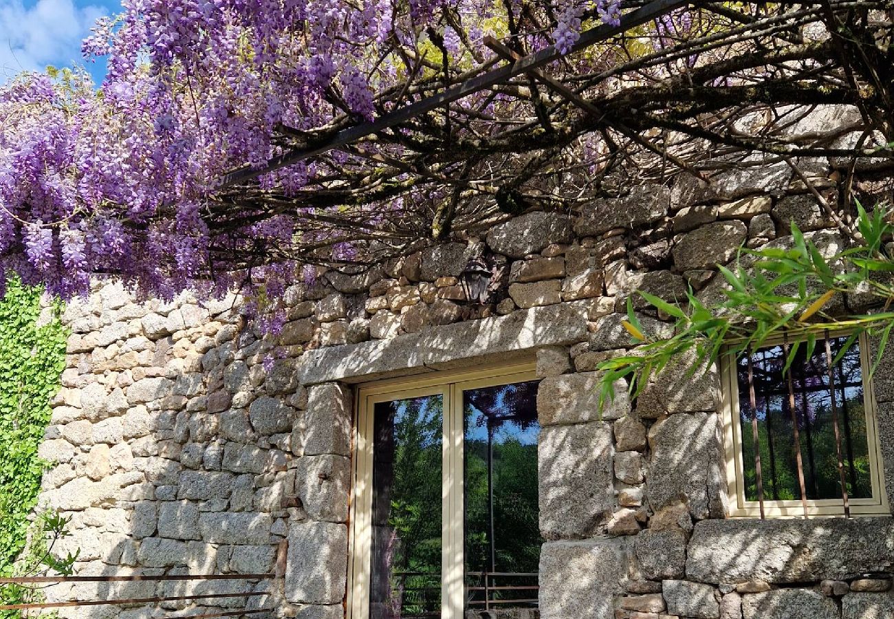 Maison à Florentin-la-Capelle - La Fontaine d´Aubrac