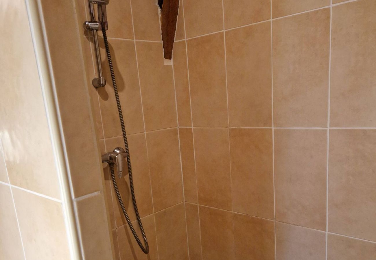 Maison à Florentin-la-Capelle - La Fontaine d´Aubrac