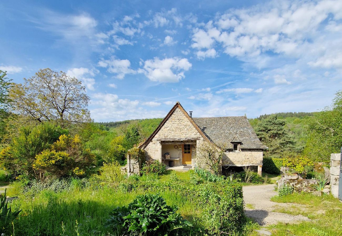 Maison à Florentin-la-Capelle - Le Puy d'Aubrac