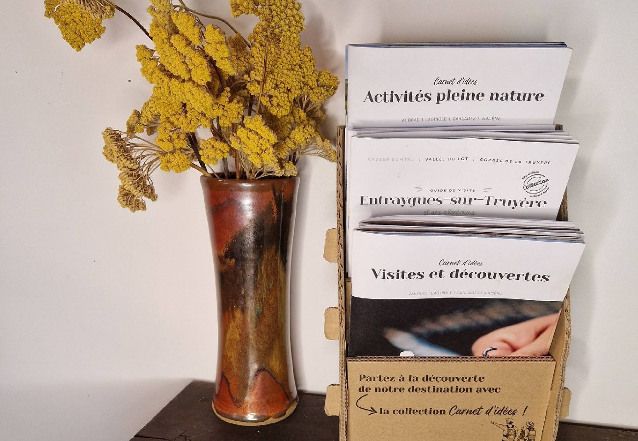 Maison à Florentin-la-Capelle - Le Puy d'Aubrac