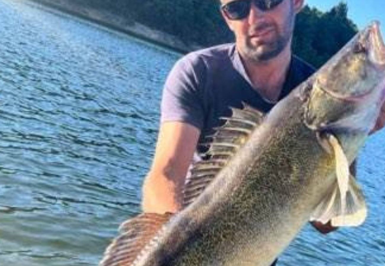 Maison à Florentin-la-Capelle - Gite de la Capelle