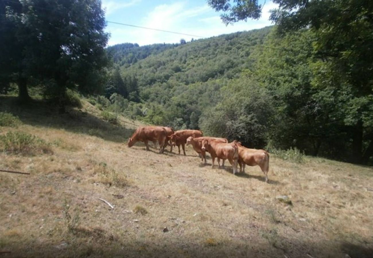 Maison à Golinhac - L'Ostel Aveyronnais