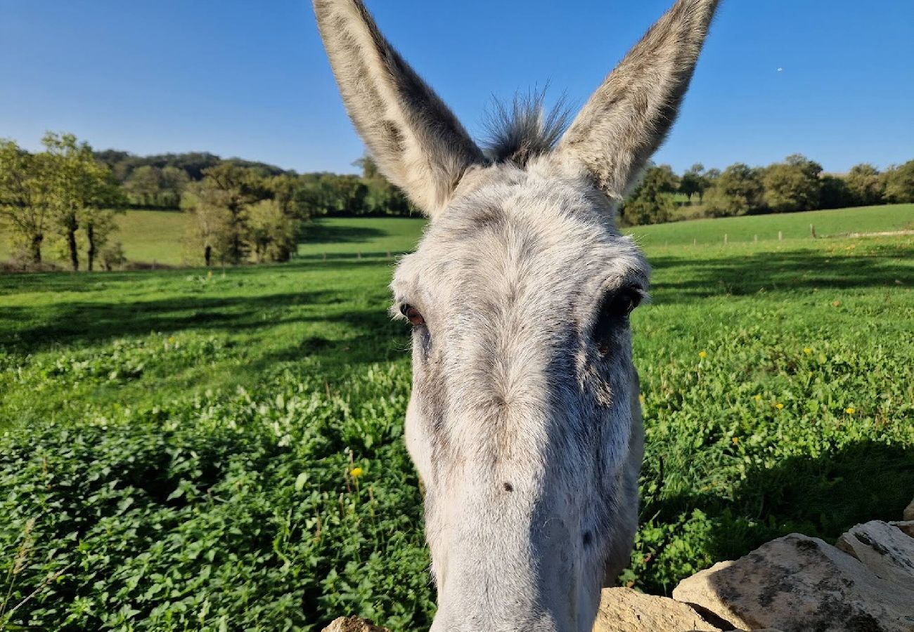 Maison à Bozouls - Gite de Maroquies