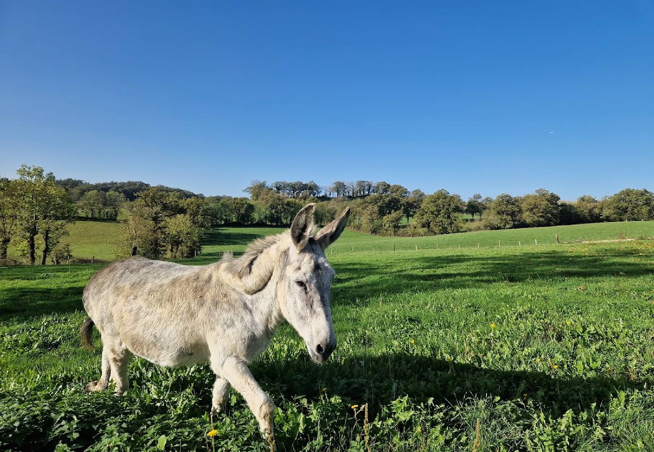 Maison à Bozouls - Gite de Maroquies