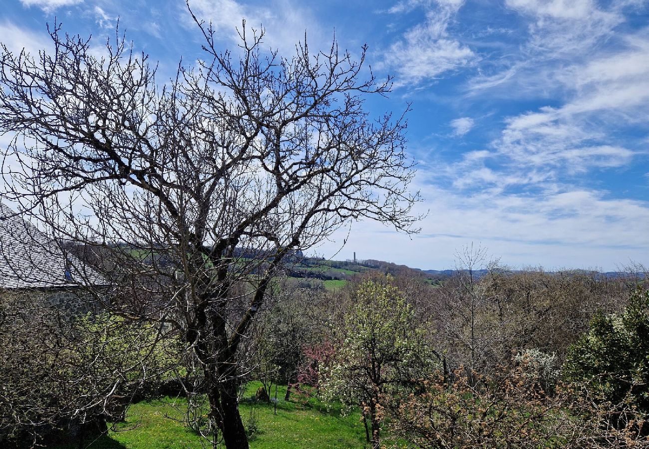 Maison à Saint-Amans-des-Cots - Gite la Roque, calme, campagne