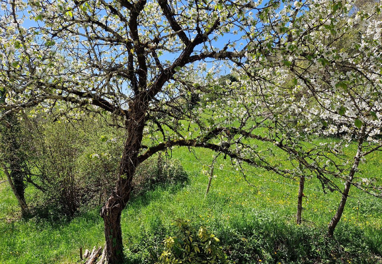 Maison à Estaing - Montrepos - Ancien Presbytère du 17° siècle
