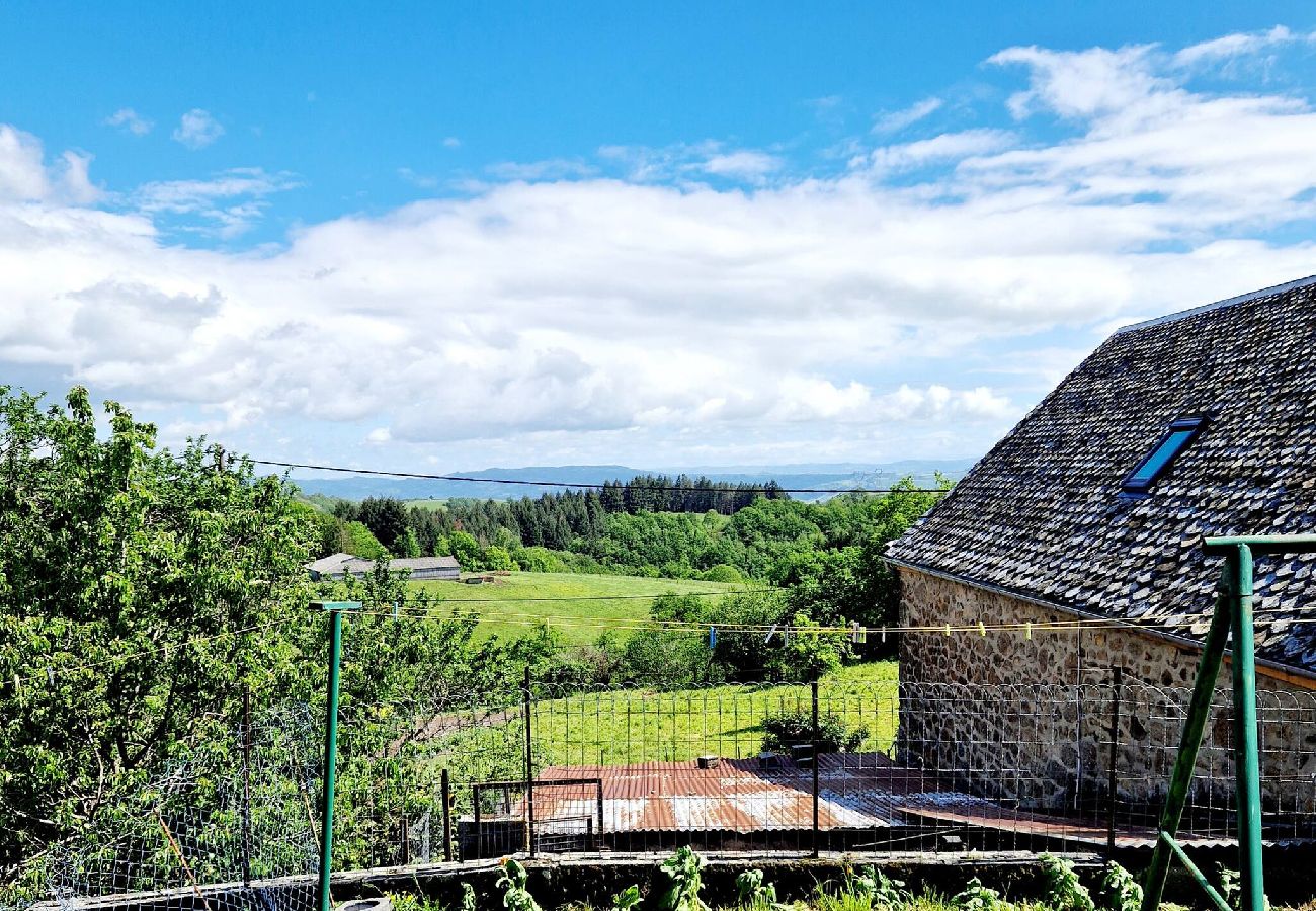 Maison à Estaing - La Colline d´Estaing, Maison 4 pers avec terrasse