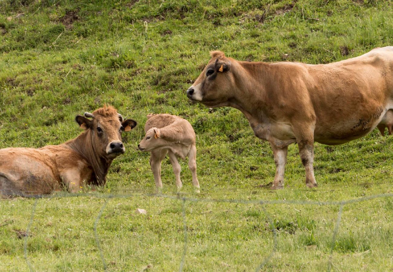 Maison à Estaing - Le Casimir, Maison de campagne à Estaing