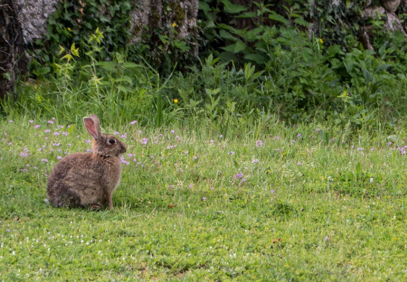 Maison à Estaing - Le Casimir, Maison de campagne à Estaing