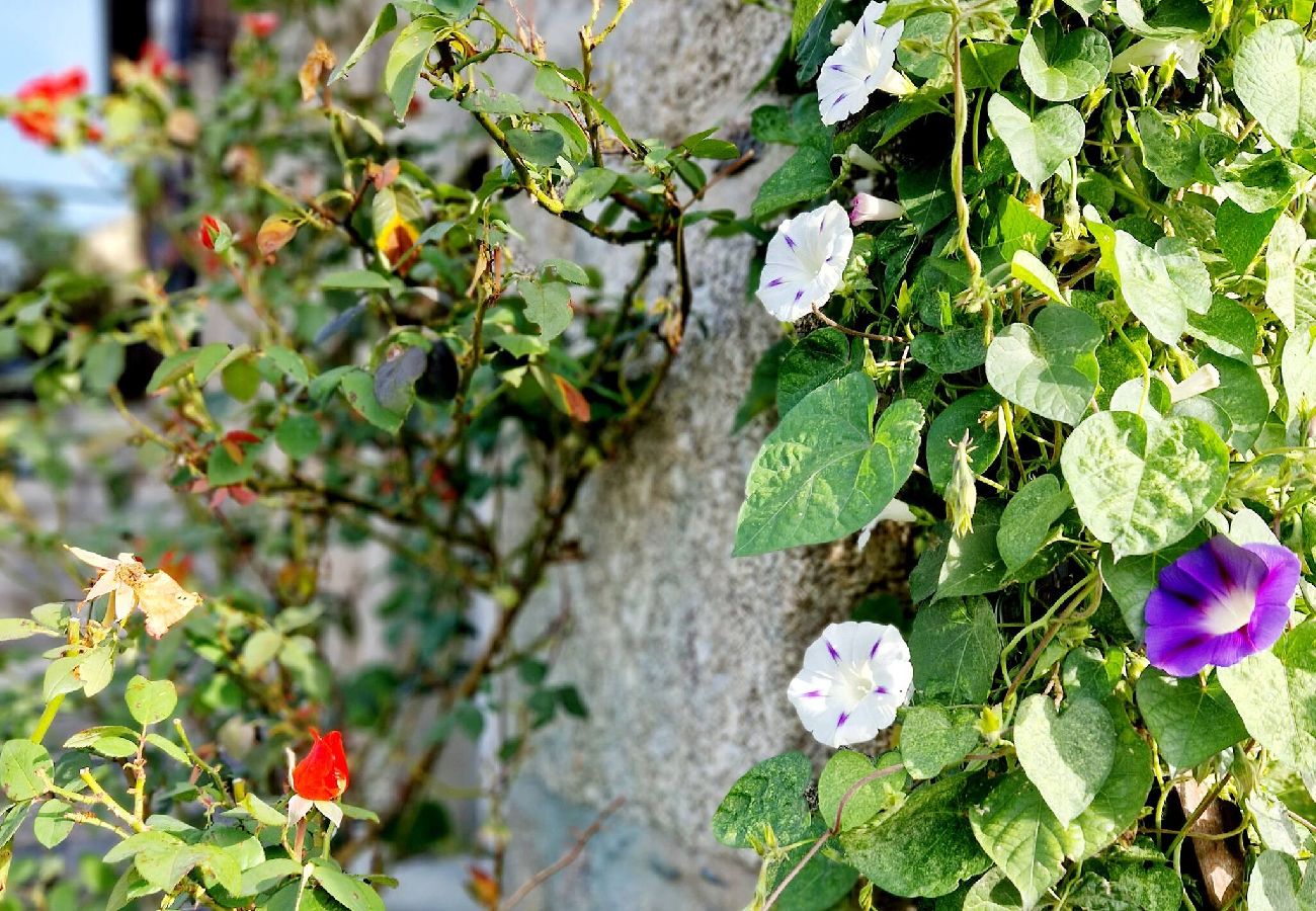 Maison à Estaing - Le Casimir, Maison de campagne à Estaing