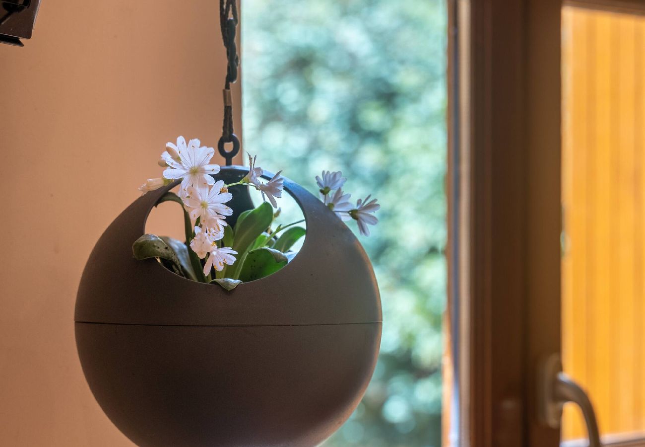 Maison à Saint-Côme-d´Olt - La Maisonnette Etape de Saint-Côme d´Olt