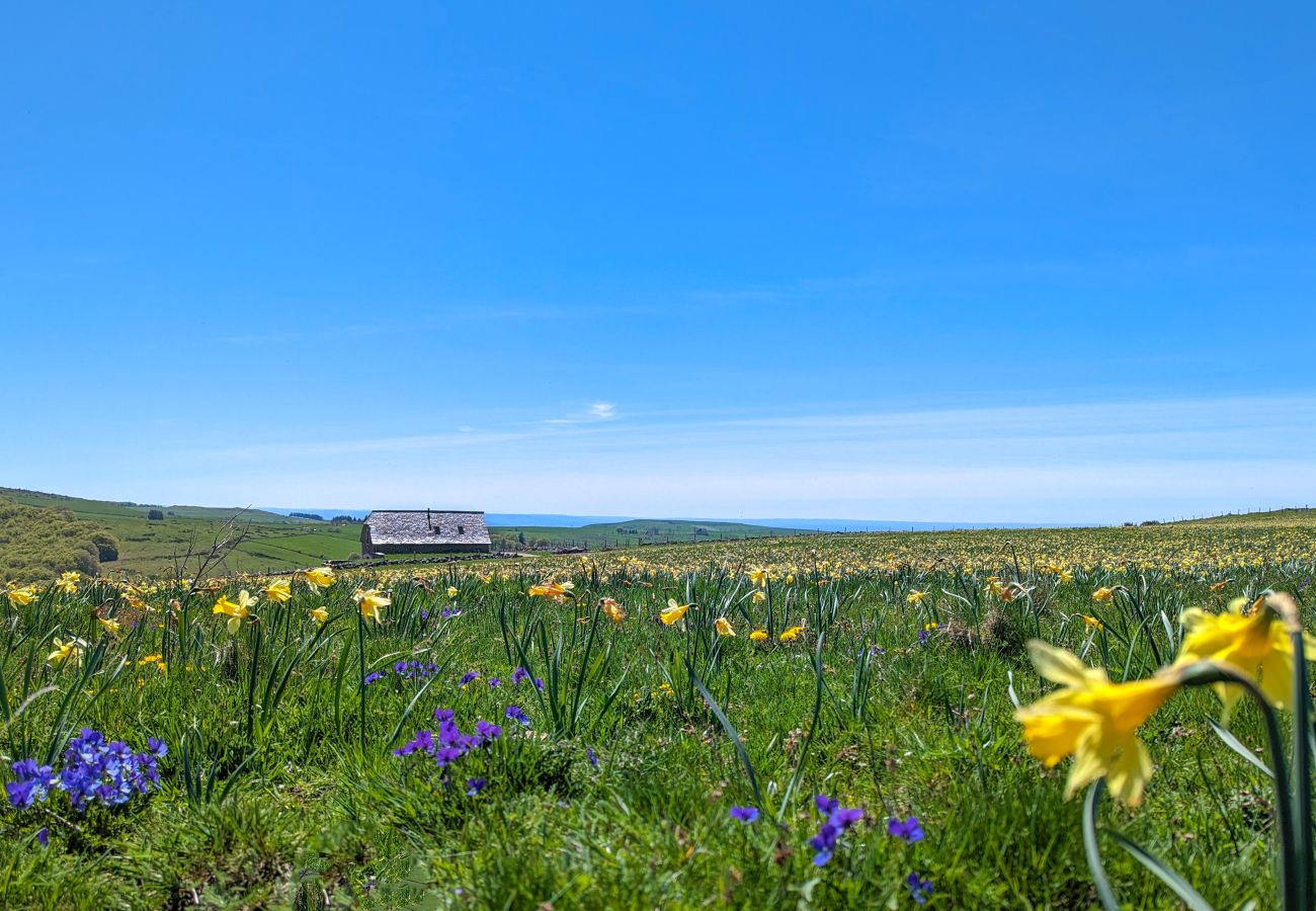 Maison à Laguiole - Buron de Léon, en plein cœur de l Aubrac