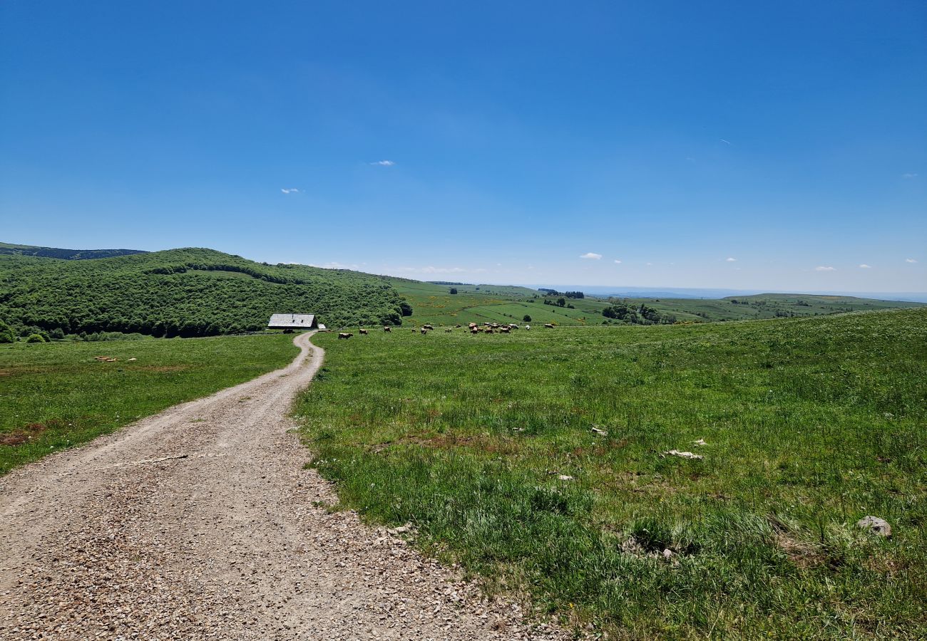 Maison à Laguiole - Buron de Léon, en plein cœur de l Aubrac
