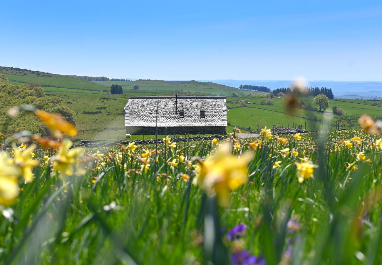 Maison à Laguiole - Buron de Léon, en plein cœur de l Aubrac