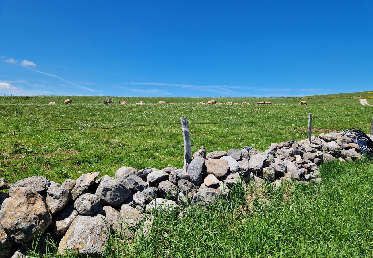 Maison à Laguiole - Buron de Léon, en plein cœur de l Aubrac