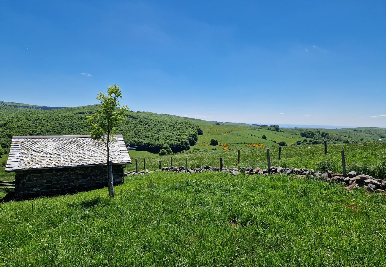 Maison à Laguiole - Buron de Léon, en plein cœur de l Aubrac