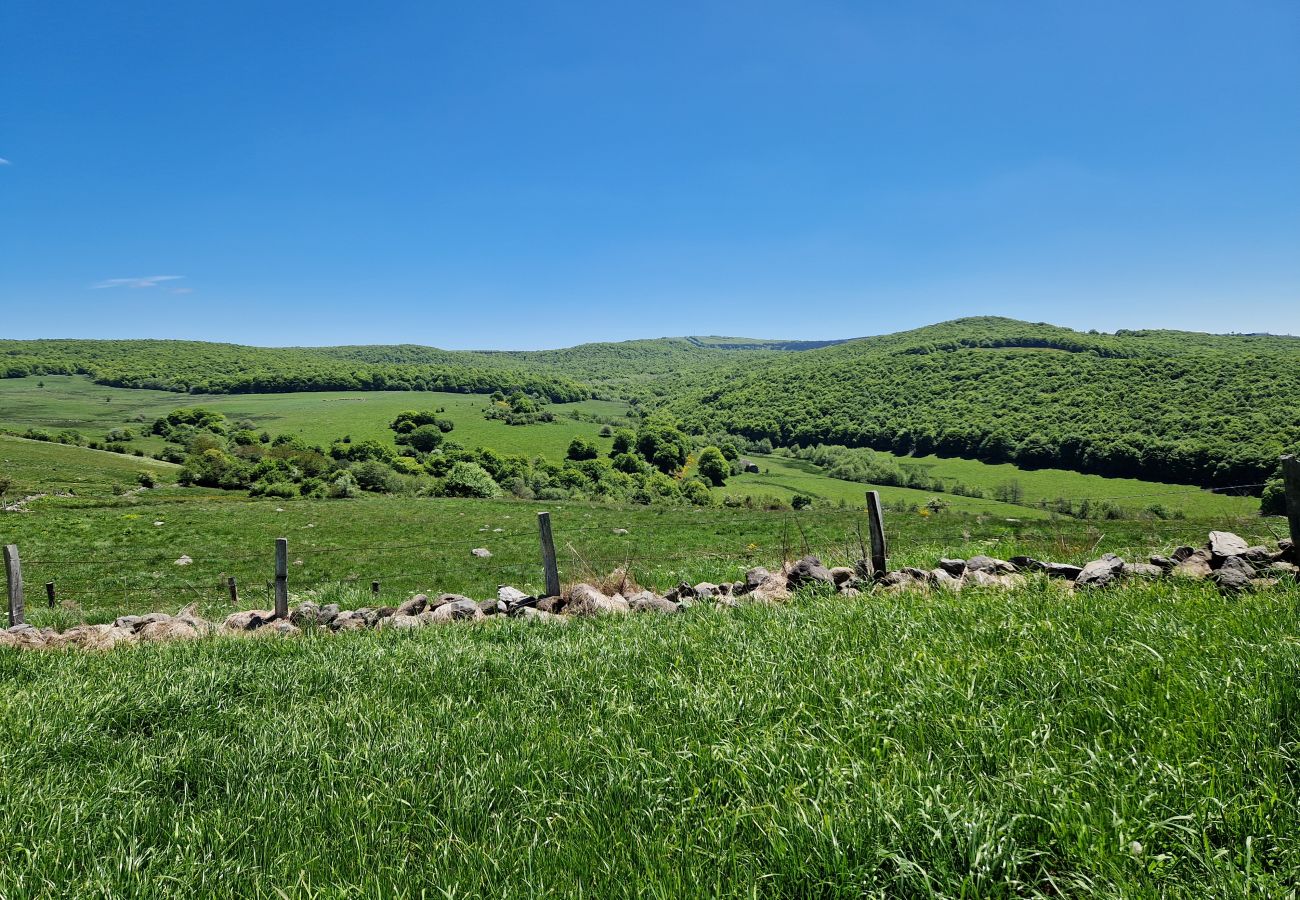 Maison à Laguiole - Buron de Léon, en plein cœur de l Aubrac