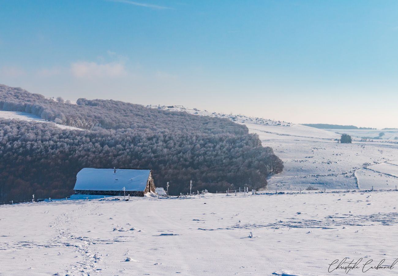 Maison à Laguiole - Buron de Léon, en plein cœur de l Aubrac