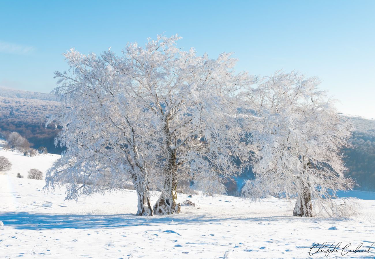 Maison à Laguiole - Buron de Léon, en plein cœur de l Aubrac