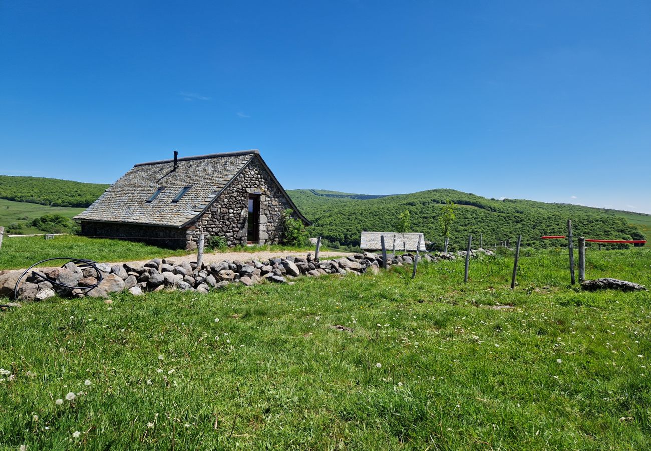 Maison à Laguiole - Buron de Léon, en plein cœur de l Aubrac