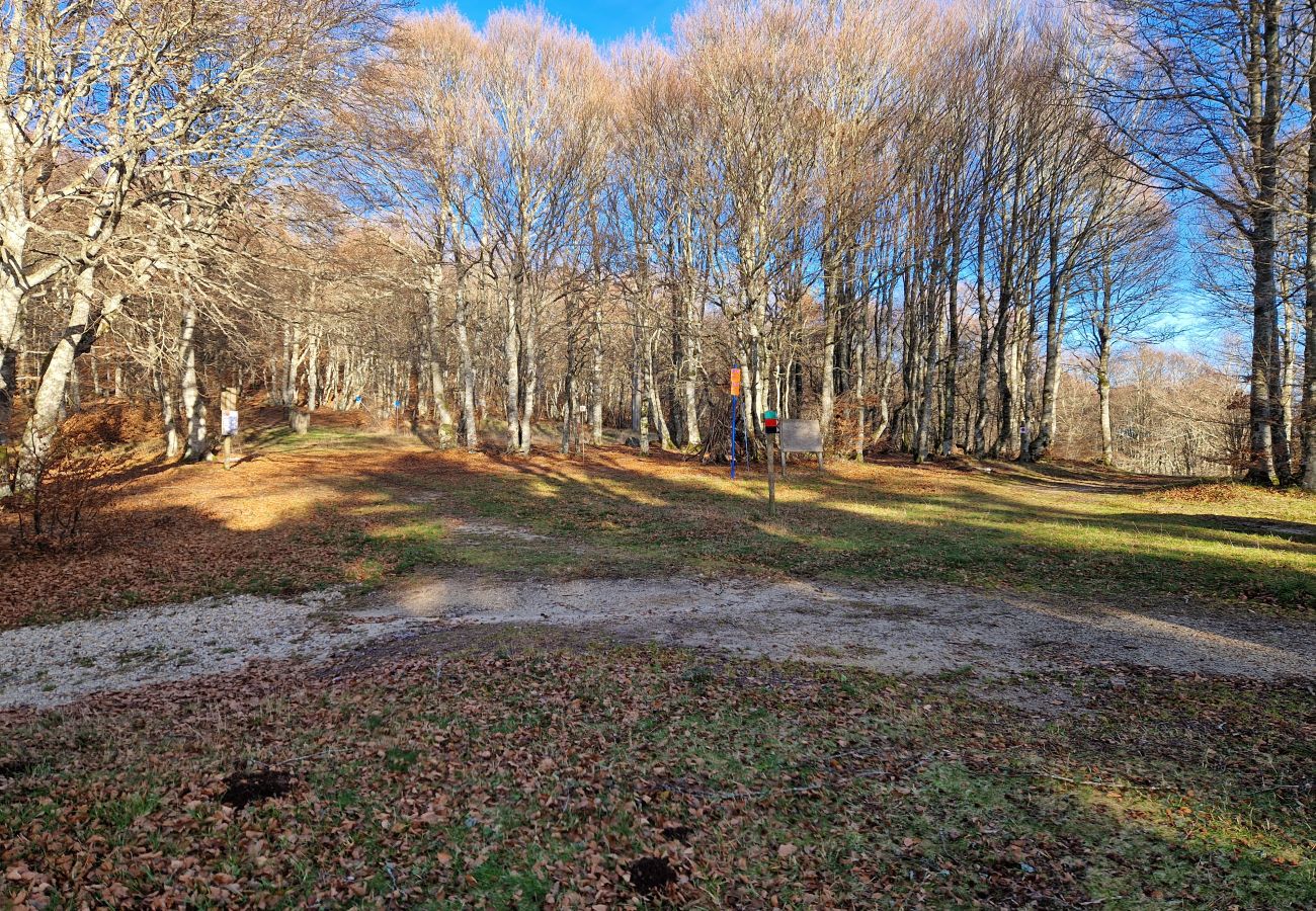Chalet à Laguiole - Le Chalet de l'Abeille