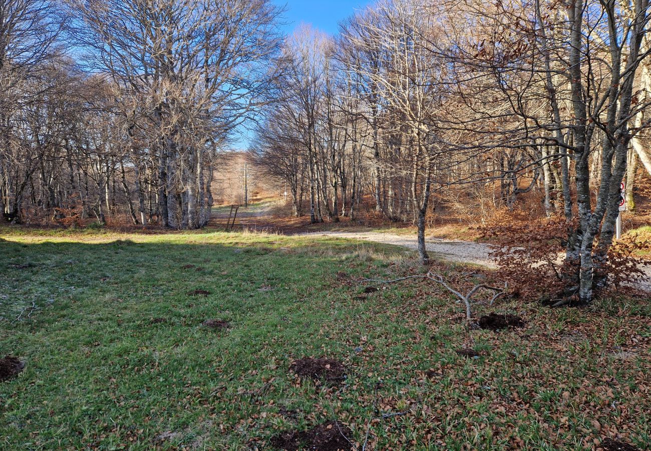 Chalet à Laguiole - Le Chalet de l'Abeille