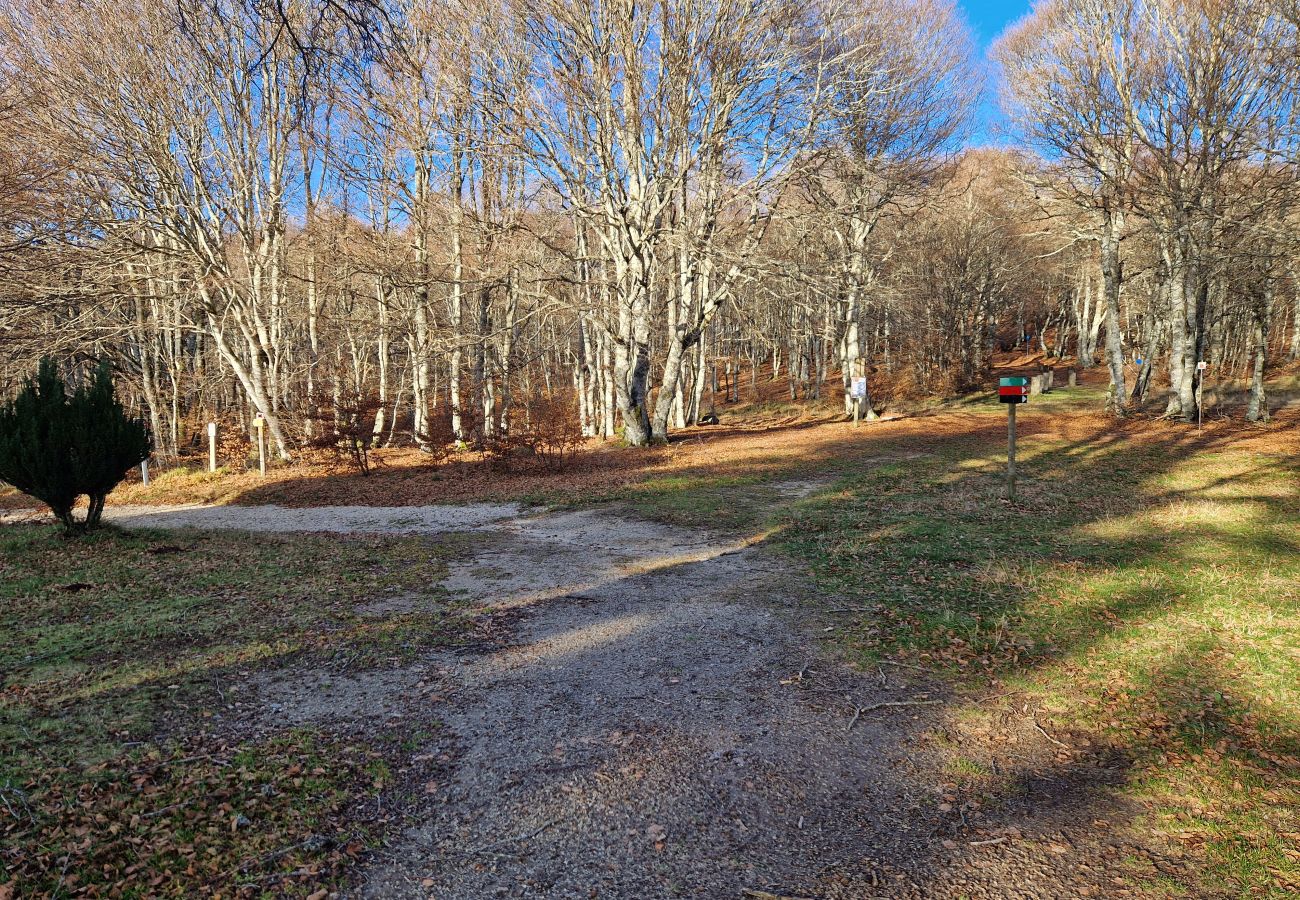 Chalet à Laguiole - Le Chalet de l'Abeille