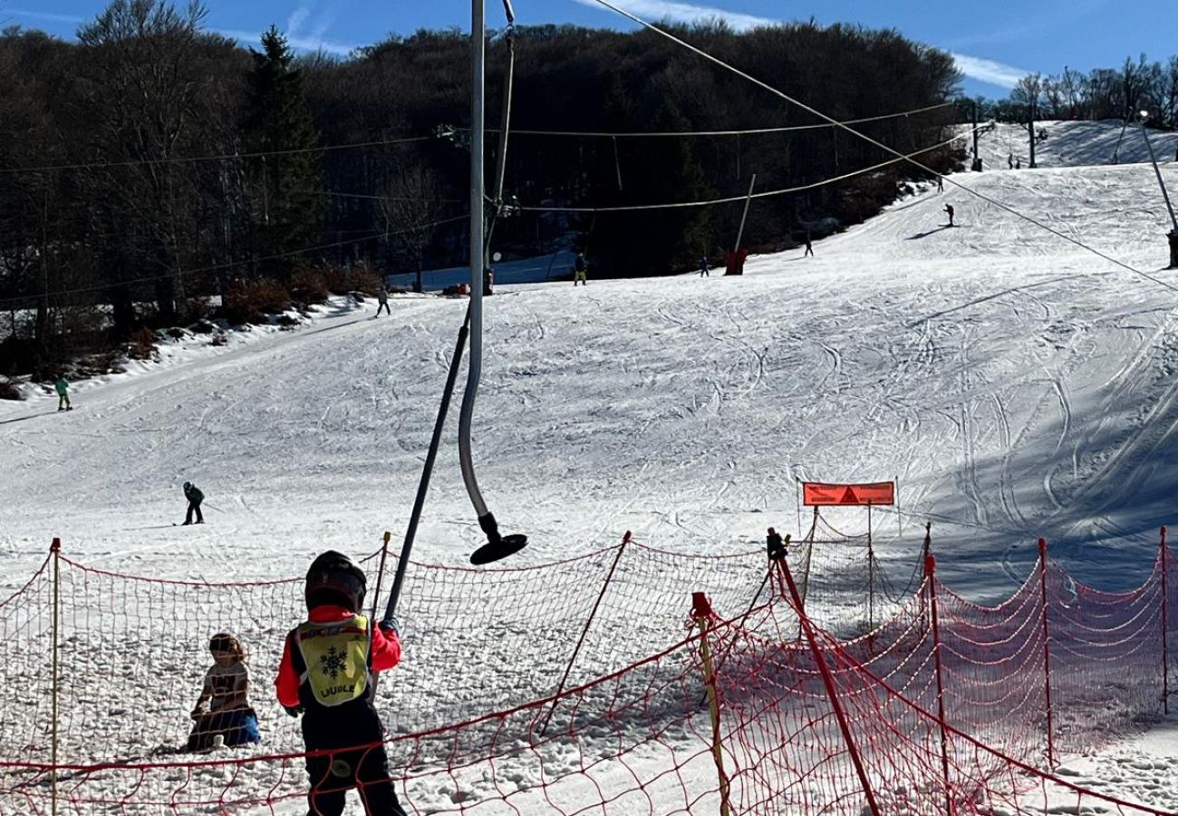 Chalet à Laguiole - Chalet Le Reposou