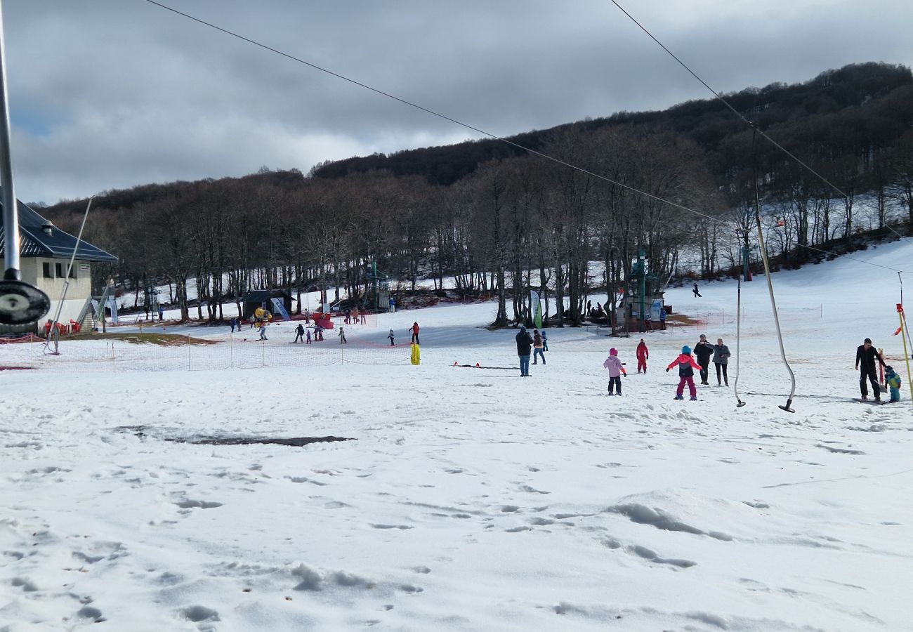 Chalet à Laguiole - Chalet Le Reposou