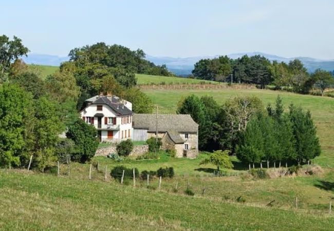 Maison à Entraygues-sur-Truyère - La maison de Dourils