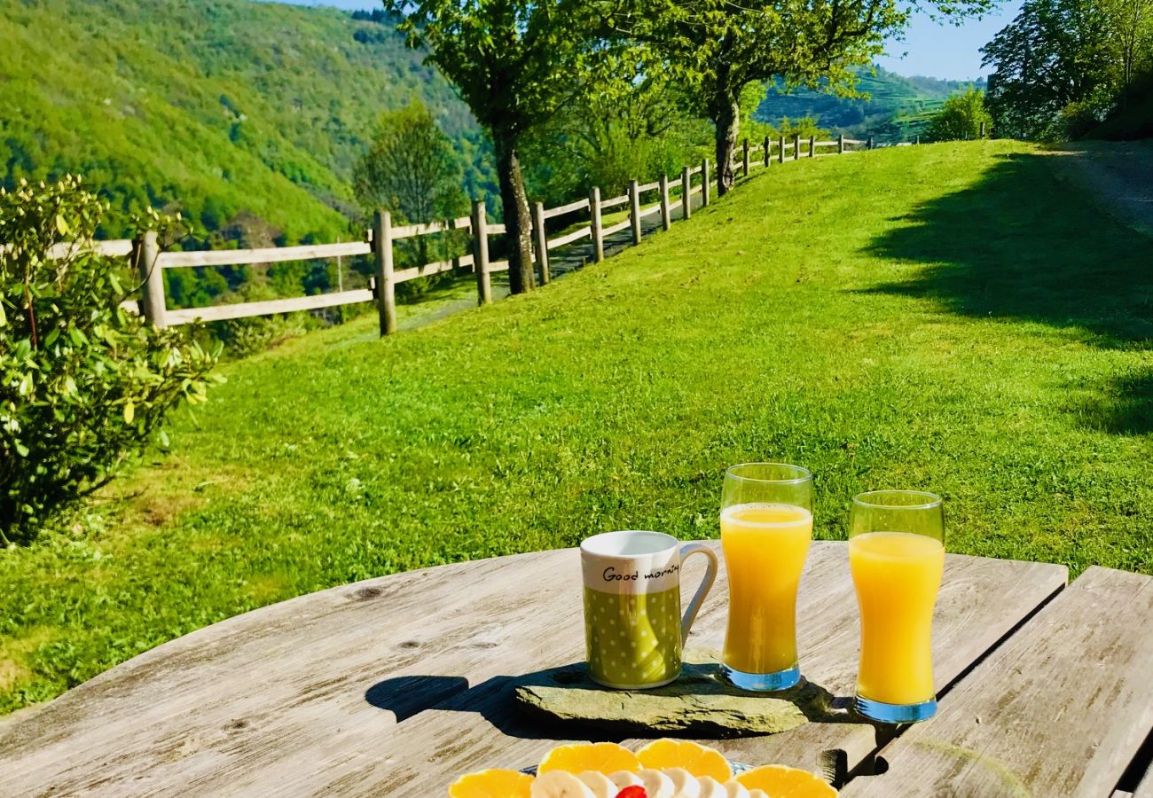 Gîte Rural à Montézic - La Perle de la Vallée