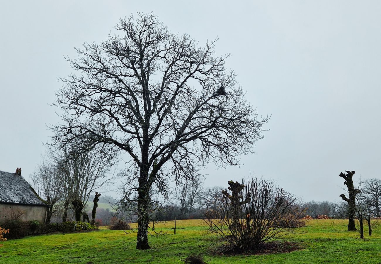 Gîte Rural à Saint-Amans-des-Cots - Gite de Saint-Juery